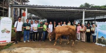 Moment Idul Adha 1445 Hijriah, Yayasan Muslim Sinar Mas Land Distribusikan 481 Hewan Kurban Kepada Masyarakat