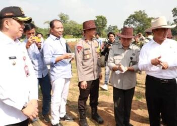 Menteri Apresiasi PT LSAJ di Kabupaten Tangerang Kembangkan Peternakan Rakyat