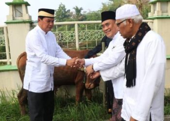 Semangat Idul Adha 1445 H di Kabupaten Tangerang, Pemkab Salurkan 30 Ekor Hewan Kurban Jenis Sapi