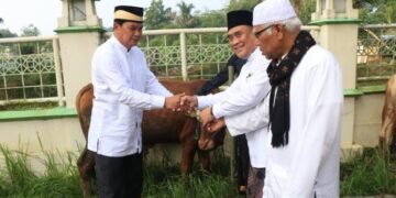 Semangat Idul Adha 1445 H di Kabupaten Tangerang, Pemkab Salurkan 30 Ekor Hewan Kurban Jenis Sapi