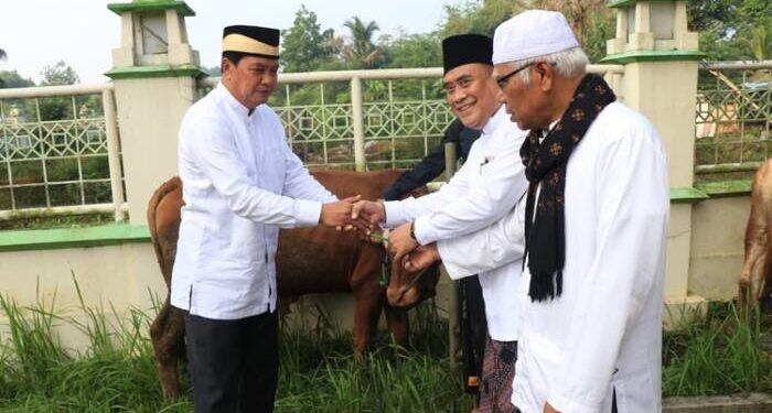 Semangat Idul Adha 1445 H di Kabupaten Tangerang, Pemkab Salurkan 30 Ekor Hewan Kurban Jenis Sapi