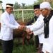 Semangat Idul Adha 1445 H di Kabupaten Tangerang, Pemkab Salurkan 30 Ekor Hewan Kurban Jenis Sapi