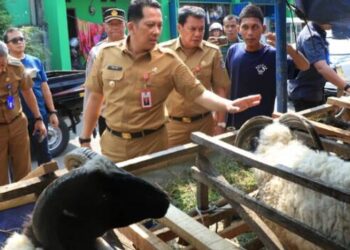 Pemkab Tangerang Pastikan Hewan Kurban Aman, Sehat, dan Halal