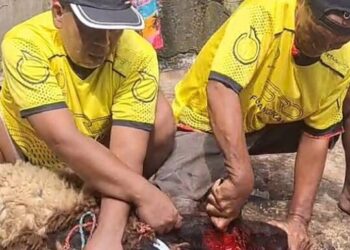 Pokja WHTR Potong 7 Ekor kambing pada Idul Adha 1445 Hijriah