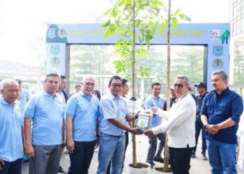 Tangerang Selatan Peringati Hari Lingkungan Hidup dengan Menanam 1.000 Pohon Tabebuya