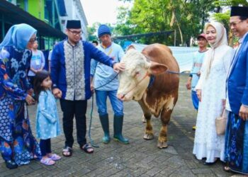 Pemkot Tangsel Distribusikan 94 Hewan Kurban untuk Idul Adha 1445 H