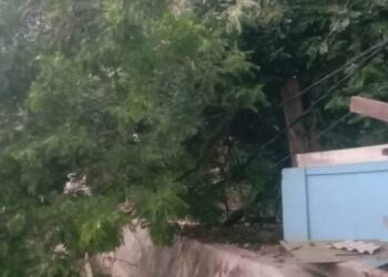 Pohon Besar Tumbang di TPBU Hantap Momonggor Keranggan Timpa Makam dan Kabel Listrik