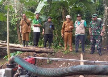 Tingkatkan Luas Tambah Tanam, Distan Banten Optimalkan Program Irpom dan Pompanisasi
