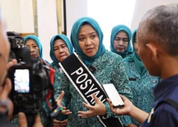 TP PKK dan Posyandu Provinsi Banten Gelar Webinar Lansia Sehat