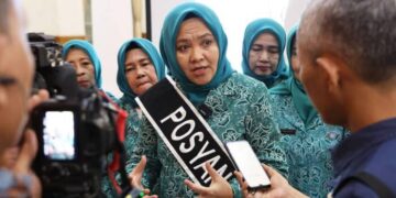 TP PKK dan Posyandu Provinsi Banten Gelar Webinar Lansia Sehat