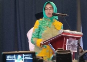 Maju di Pilkada Banten, Airin Ucapkan Terima Kasih Kepada PDI-P