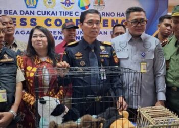 WNA Mesir Selundupkan Hewan Primata Diciduk Bea Cukai Soekarno Hatta
