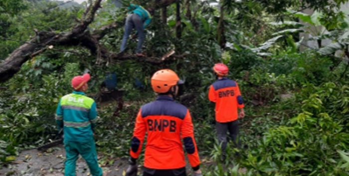 Angin Kencang Tumbangkan Pohon, Enam Rumah Rusak di Tangsel
