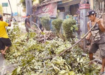Memasuki Musim Penghujan, Disbudpar Kota Tangerang Siapkan Tim Antisipasi Pohon Tumbang
