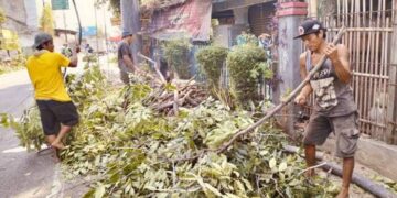 Memasuki Musim Penghujan, Disbudpar Kota Tangerang Siapkan Tim Antisipasi Pohon Tumbang