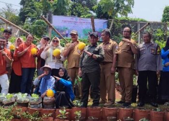 IKPP Tangerang dan KWT Nerada Panen Raya Golden Melon, Tandai Sukses Kemitraan
