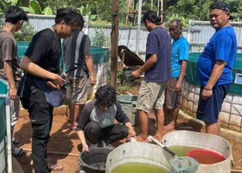 Desa Binaan PLN UID Banten Cetak Prestasi, Manfaatkan Daun Bambu untuk Tingkatkan Ekonomi