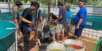 Desa Binaan PLN UID Banten Cetak Prestasi, Manfaatkan Daun Bambu untuk Tingkatkan Ekonomi