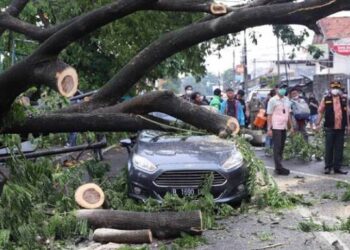 Pemkot Tangerang Siapkan Asuransi Bagi Masyarakat yang Tertimpa Pohon Tumbang di Musim Penghujan