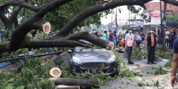 Pemkot Tangerang Siapkan Asuransi Bagi Masyarakat yang Tertimpa Pohon Tumbang di Musim Penghujan