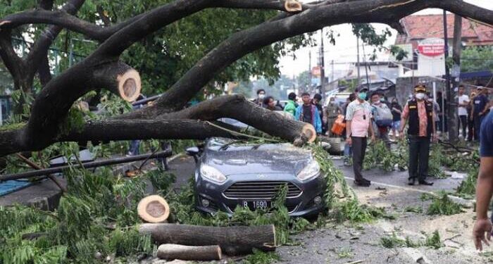 CREATOR: gd-jpeg v1.0 (using IJG JPEG v62), quality = 70?