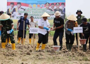 Dukung Program Ketahanan Pangan Presiden RI Prabowo Subiato, Pemkot Tangerang dan Polri Tanam Jagung Ketan