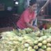 Lonjakan Permintaan Jagung Picu Kenaikan Harga Jelang Tahun Baru