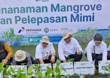 Pemkab Tangerang Gelar Penanaman Mangrove dan Pelepasan Mimi