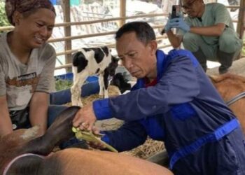 Kasus PMK Merebak, Pemkot Tangerang Berikan Vaksinasi Hewan Ternak Dengan Gratis