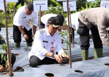 Pj Bupati Tangerang Ajak Warga Tingkatkan Swasembada Pangan di Desa
