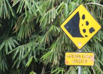 Setu Wilayah Paling Rawan Longsor di Tangerang Selatan