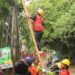 Penertiban Kabel PLN dan Fiber Optik di Tangerang Selatan Berlanjut, Fokus di Jalan Serua Raya