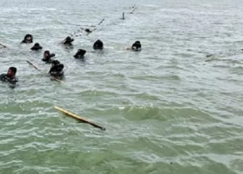 Pagar Laut 30,16 KM di Tangerang Selesai Dibongkar