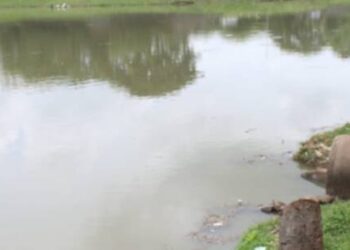 Tiga Anak Tewas Tenggelam di Situ Gede Modernland Tangerang