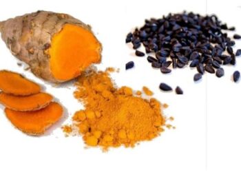 rempah herbal
