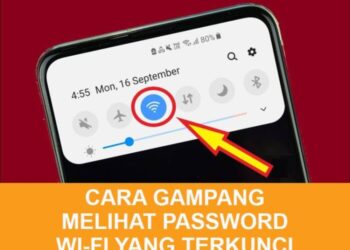 Password Wi-Fi