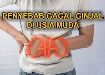Gagal Ginjal