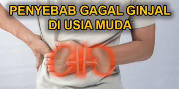 Gagal Ginjal