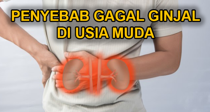 Gagal Ginjal
