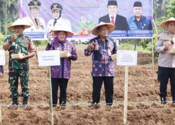 Wabup Intan Berikan Bantuan Sarana Produksi ke Kelompok Tani