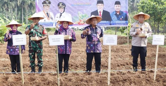 Wabup Intan Berikan Bantuan Sarana Produksi ke Kelompok Tani