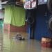 Banjir Rendam Puluhan Rumah di Kadu Jaya Curug