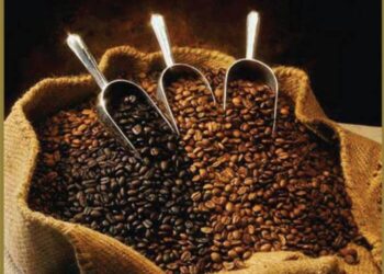 ekspor kopi ke Mesir