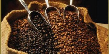 ekspor kopi ke Mesir
