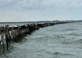 Investigasi Korupsi Pagar Laut Tangerang, Berkas Pemalsuan Dokumen Dilimpahkan ke Kejagung
