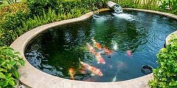 Sentuhan Alam di Hunian, Design Kolam Ikan Minimalis Depan Rumah