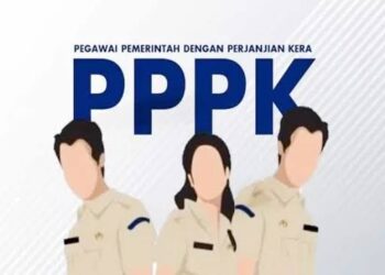 Rincian Gaji PPPK Tahun 2025 Berdasarkan Golongan