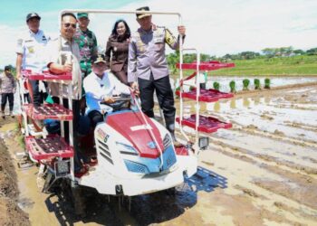Kolaborasi Forkopimda Kuat, Gubernur Banten Andra Soni Optimis Provinsi Banten Swasembada Pangan