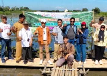 PT IKPP Tangerang Gandeng Pemkab Tangerang Tanam Mangrove Spesies Langka