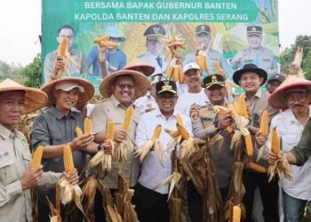 Pemprov Banten Prioritaskan Sektor Pertanian Demi Swasembada